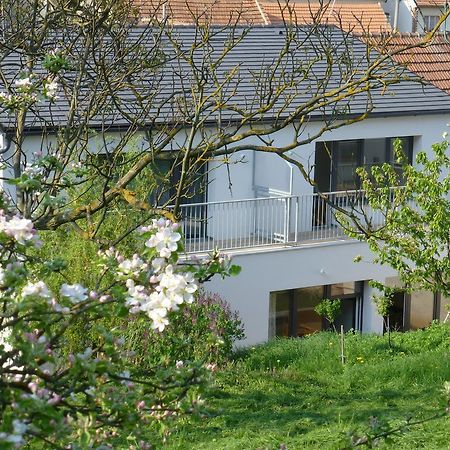 Pod Kralicim Vrchem Apartment Milovice  Exterior foto