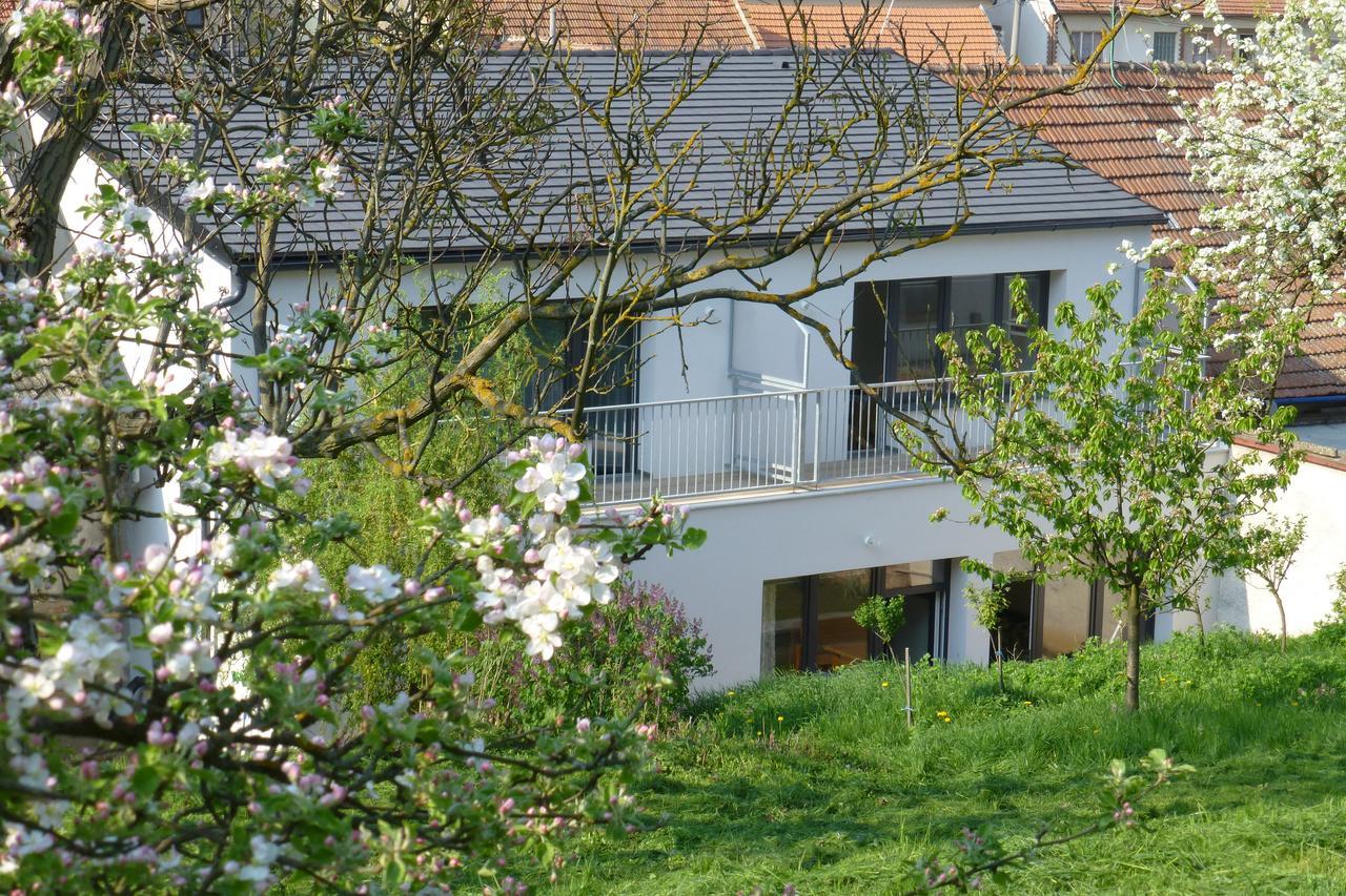 Pod Kralicim Vrchem Apartment Milovice  Exterior foto